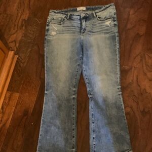 BKE Light Blue Flare Jeans with Subtle Distress